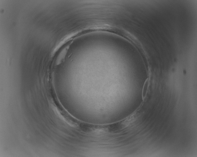 X0000052570155200507011229