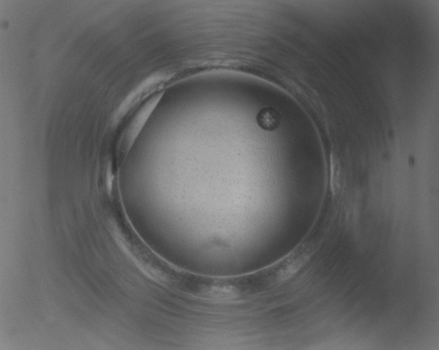 X0000052570157200507011229