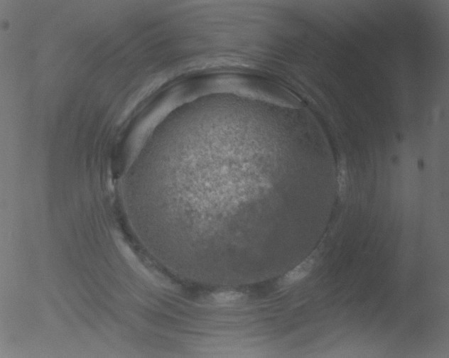 X0000052570158200507011229