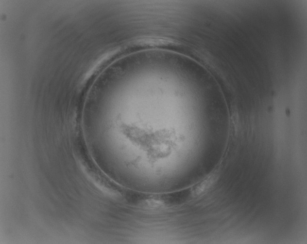 X0000052570159200507011229