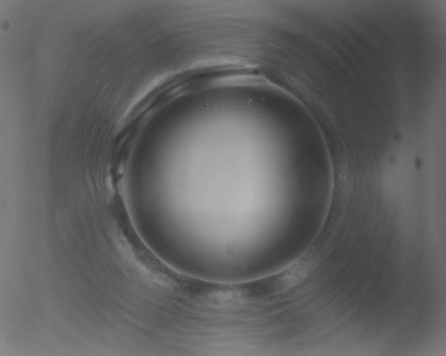 X0000052570160200507011229