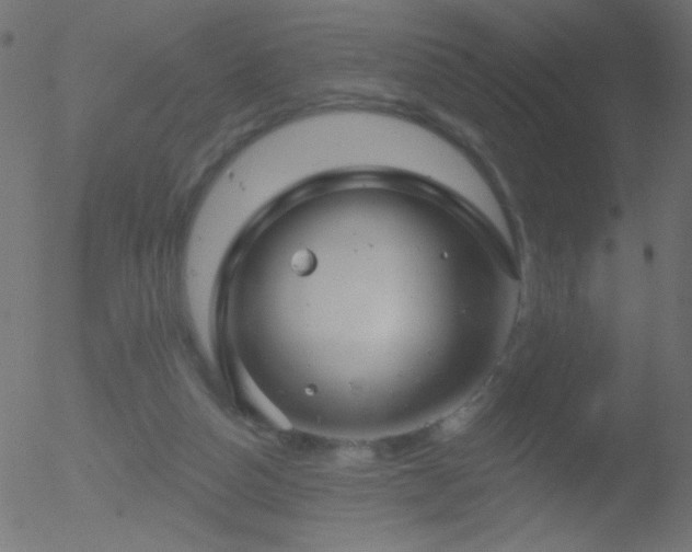 X0000052570162200507011230