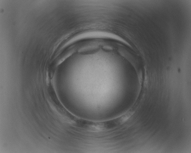 X0000052570164200507011230