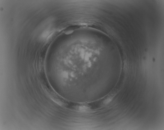 X0000052570165200507011230