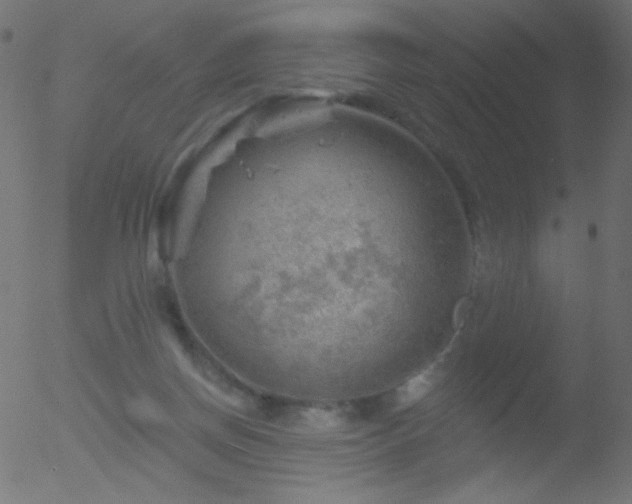 X0000052570166200507011230