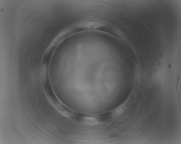 X0000052570167200507011230