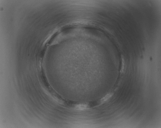 X0000052570168200507011230