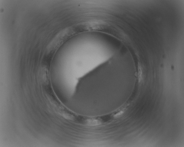 X0000052570169200507011230