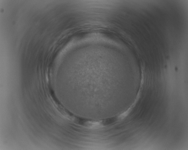 X0000052570170200507011230