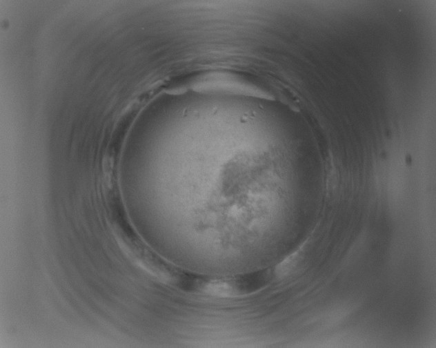 X0000052570171200507011230