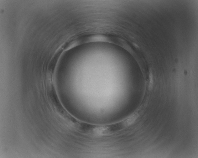 X0000052570172200507011230