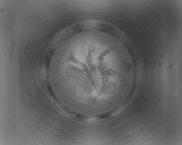 X0000052570173200507011230