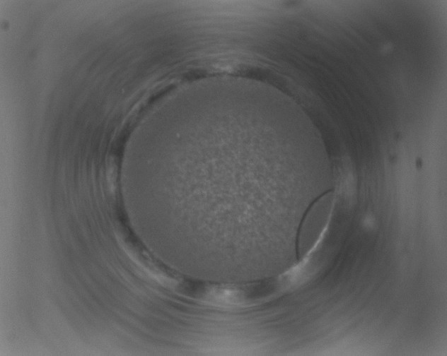 X0000052570174200507011230