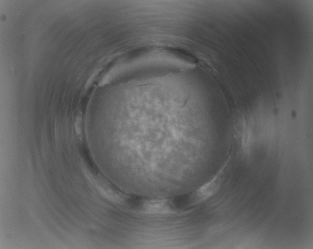 X0000052570175200507011230