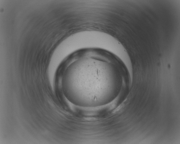 X0000052570176200507011230