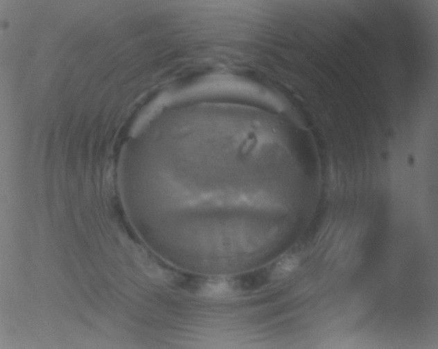 X0000052570177200507011230