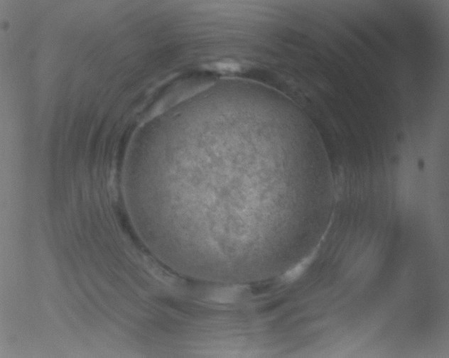 X0000052570178200507011230