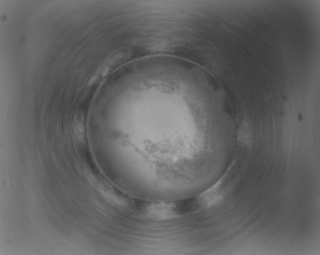 X0000052570179200507011230