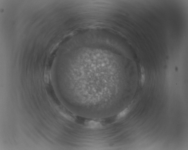 X0000052570180200507011230