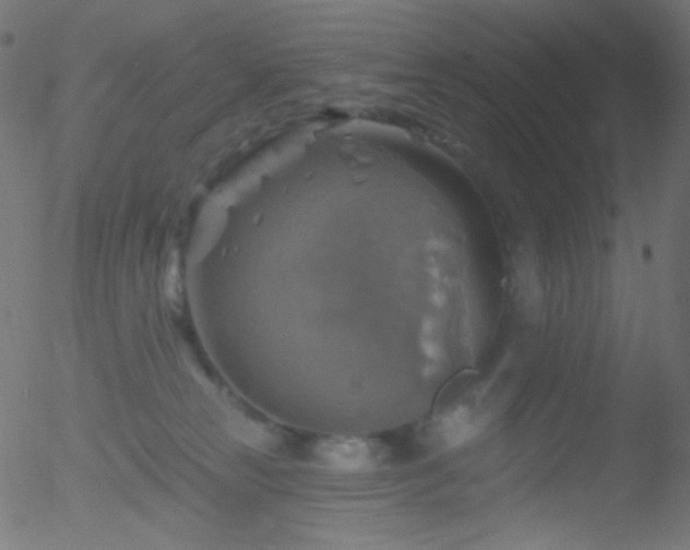 X0000052570181200507011230