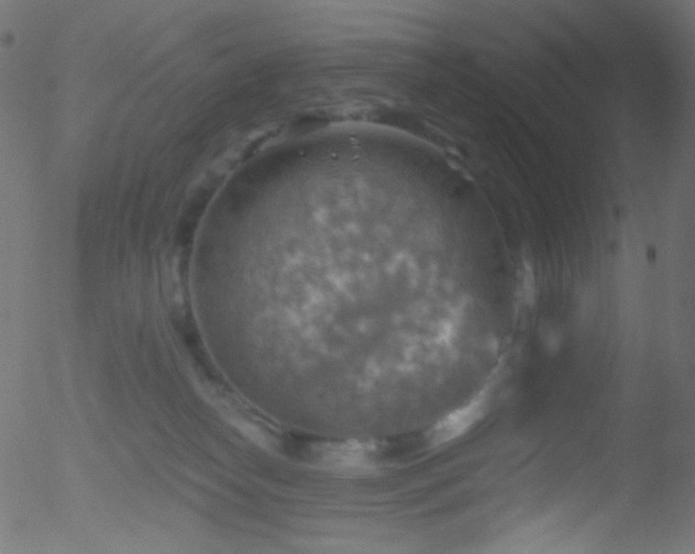 X0000052570182200507011230