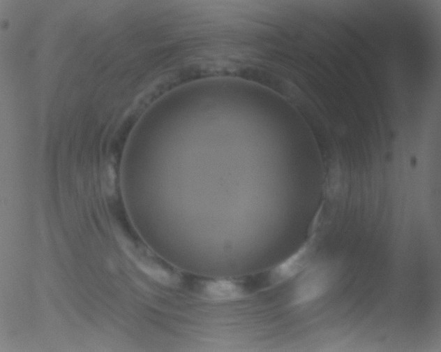 X0000052570183200507011230