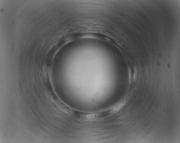 X0000052570184200507011230