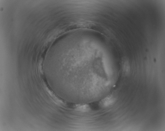 X0000052570185200507011230