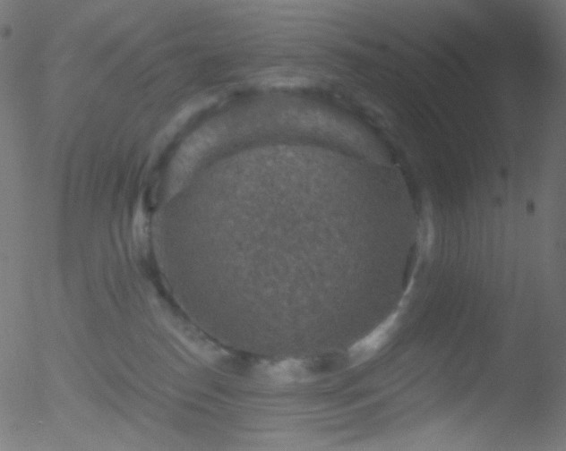 X0000052570186200507011230