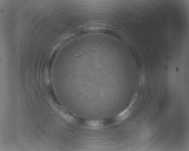 X0000052570187200507011230