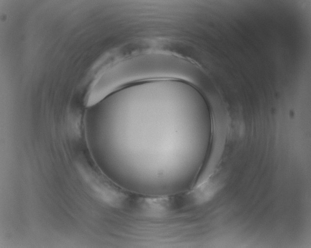 X0000052570188200507011230