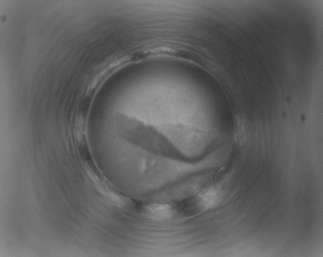 X0000052570189200507011230