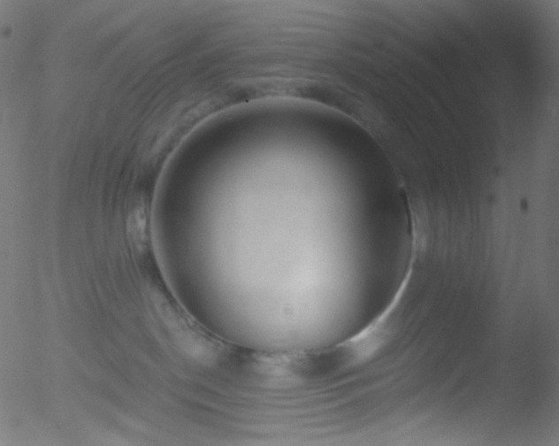 X0000052570190200507011230