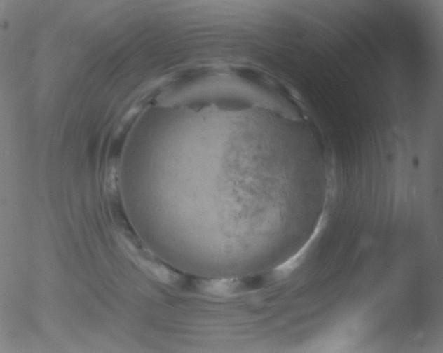 X0000052570191200507011230