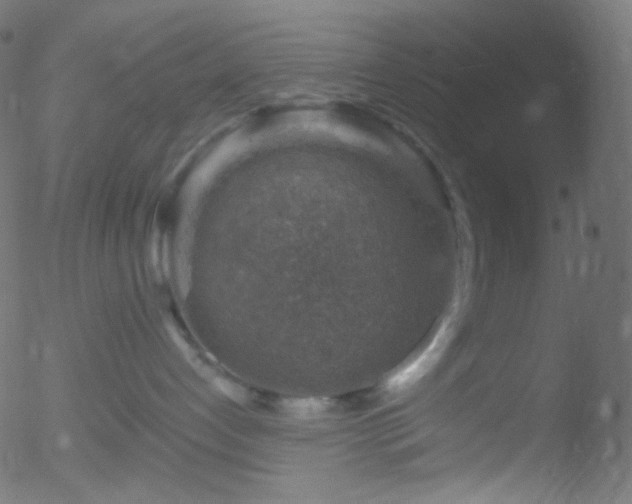 X0000052570192200507011230