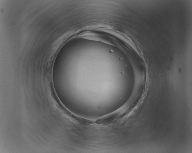 X0000052570193200507011229