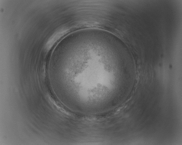 X0000052570194200507011229