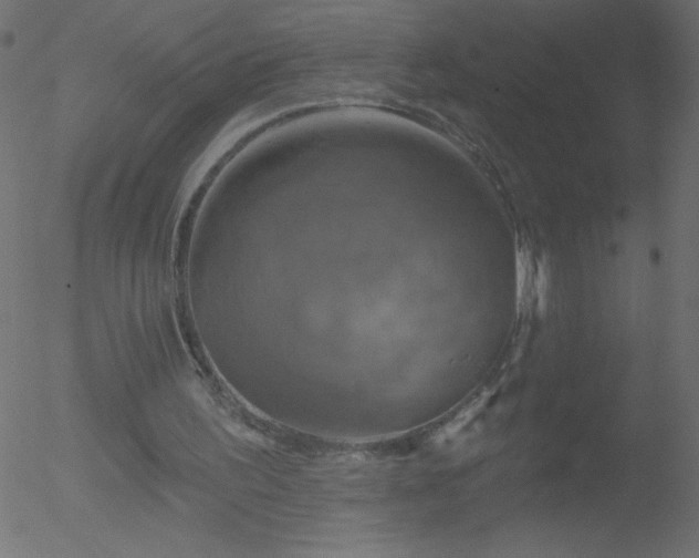 X0000052570195200507011229