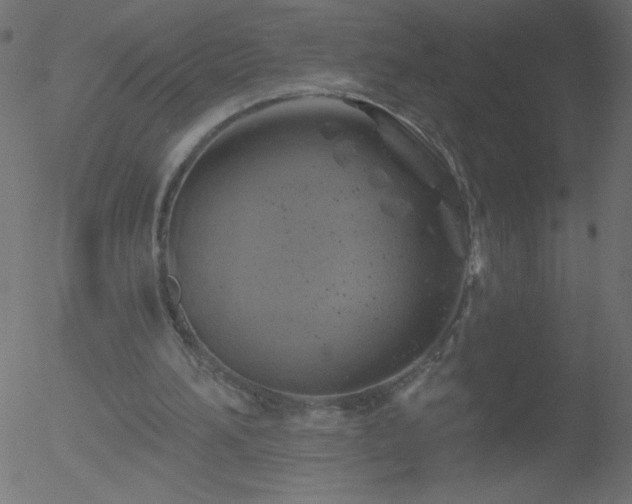 X0000052570196200507011229