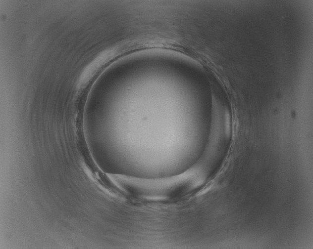 X0000052570197200507011229