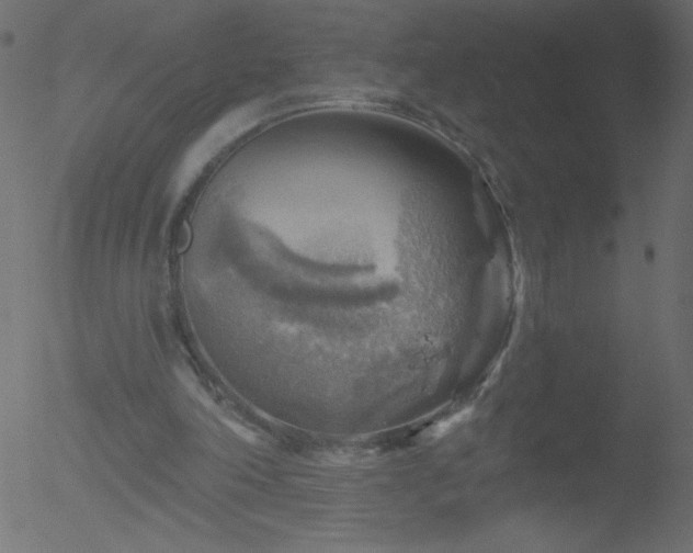 X0000052570198200507011229