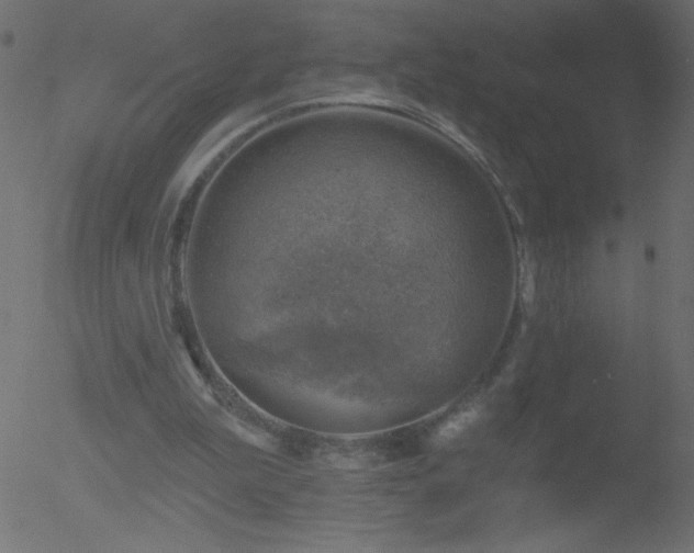 X0000052570199200507011229