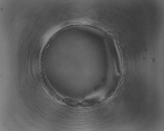 X0000052570200200507011229