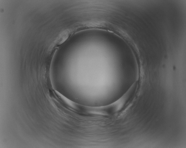 X0000052570201200507011229