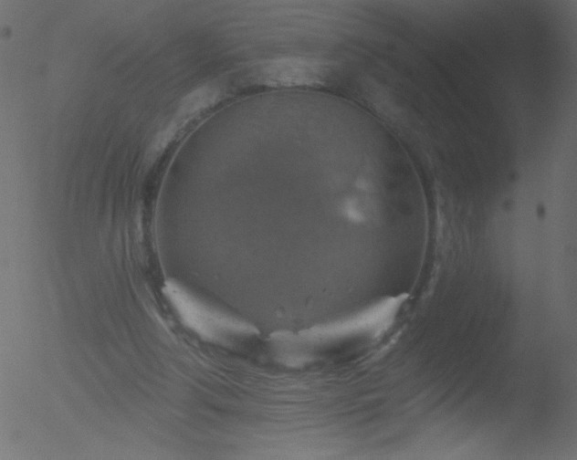 X0000052570202200507011229