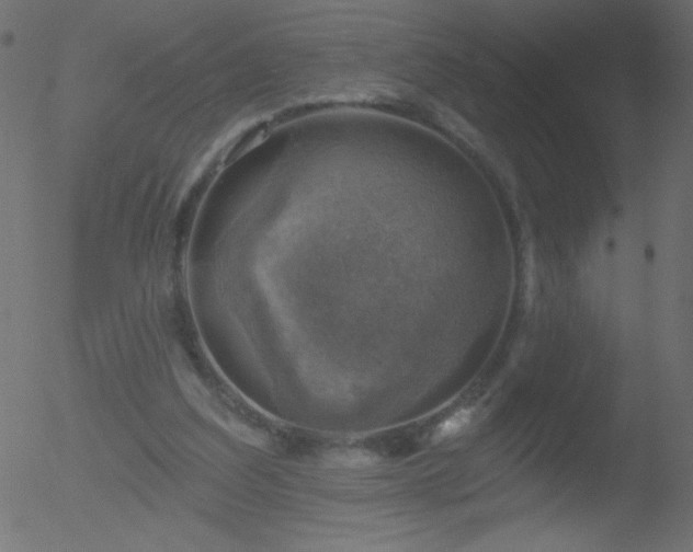 X0000052570203200507011229