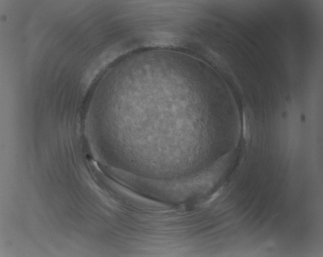 X0000052570204200507011229