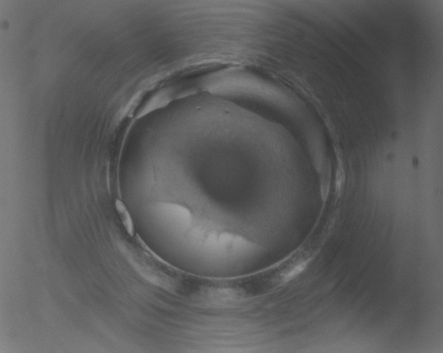 X0000052570205200507011229