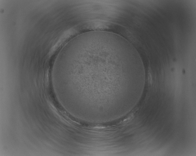 X0000052570206200507011229