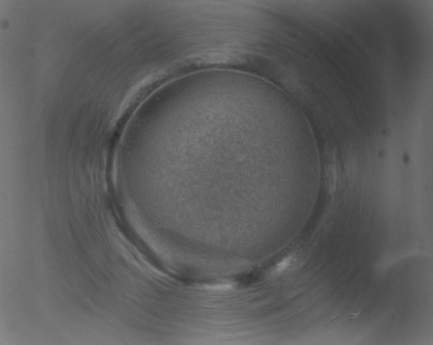 X0000052570207200507011229